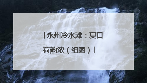 永州冷水滩：夏日荷韵浓（组图）