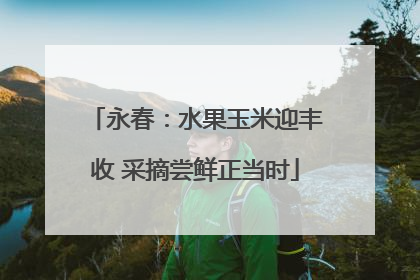 永春：水果玉米迎丰收 采摘尝鲜正当时