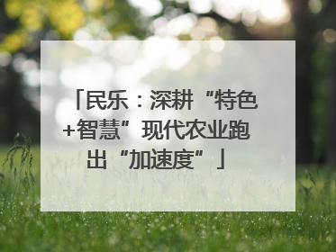 民乐：深耕“特色+智慧”现代农业跑出“加速度”