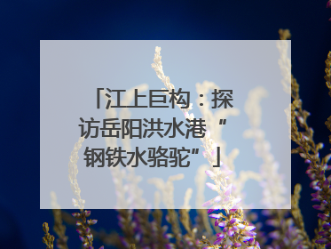 江上巨构：探访岳阳洪水港“钢铁水骆驼”