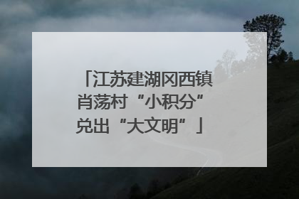 江苏建湖冈西镇肖荡村“小积分”兑出“大文明”