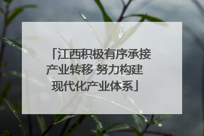 江西积极有序承接产业转移 努力构建现代化产业体系