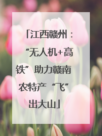 江西赣州：“无人机+高铁”助力赣南农特产“飞”出大山