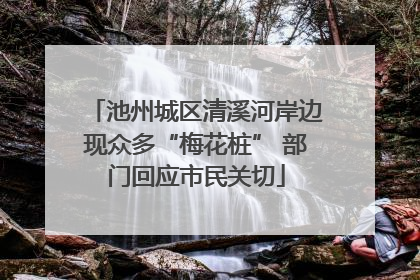 池州城区清溪河岸边现众多“梅花桩” 部门回应市民关切