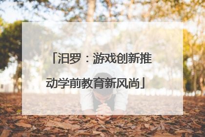 汨罗：游戏创新推动学前教育新风尚