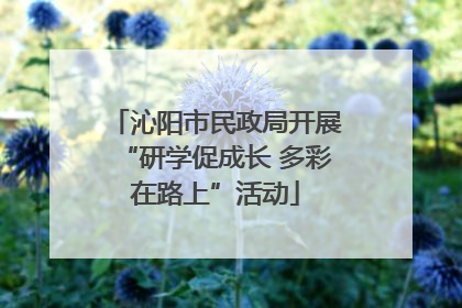 沁阳市民政局开展“研学促成长 多彩在路上”活动
