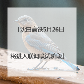 沈白高铁5月26日将进入联调联试阶段