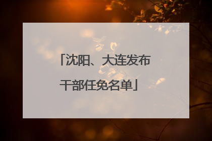 沈阳、大连发布干部任免名单