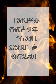 沈阳举办各族青少年“看沈阳、爱沈阳”高校行活动