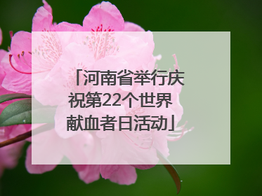 河南省举行庆祝第22个世界献血者日活动