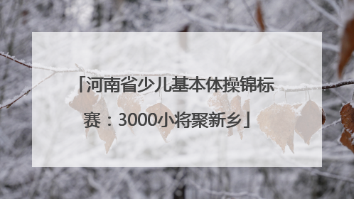 河南省少儿基本体操锦标赛：3000小将聚新乡