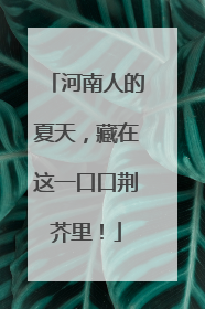 河南人的夏天，藏在这一口口荆芥里！