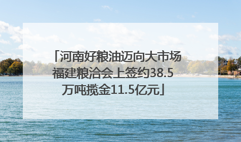 河南好粮油迈向大市场 福建粮洽会上签约38.5万吨揽金11.5亿元