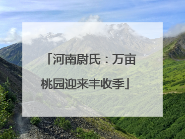 河南尉氏：万亩桃园迎来丰收季