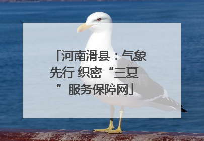 河南滑县：气象先行 织密“三夏”服务保障网