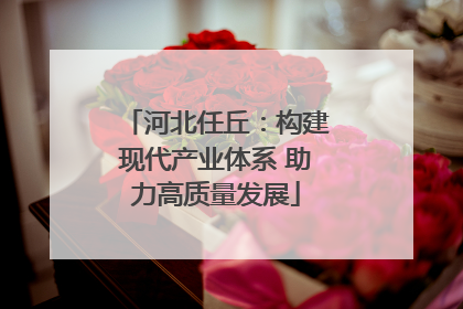 河北任丘：构建现代产业体系 助力高质量发展