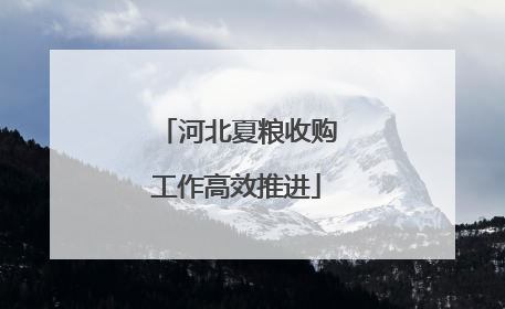 河北夏粮收购工作高效推进