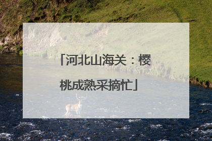 河北山海关：樱桃成熟采摘忙