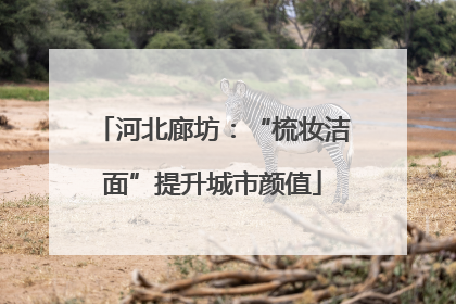 河北廊坊：“梳妆洁面”提升城市颜值