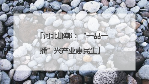 河北邯郸：“一品一播”兴产业惠民生
