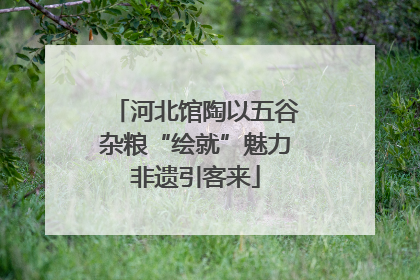 河北馆陶以五谷杂粮“绘就”魅力非遗引客来