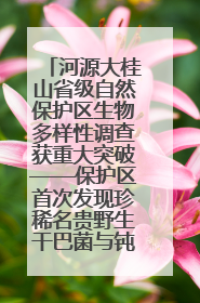 河源大桂山省级自然保护区生物多样性调查获重大突破——保护区首次发现珍稀名贵野生干巴菌与钝尾两头蛇