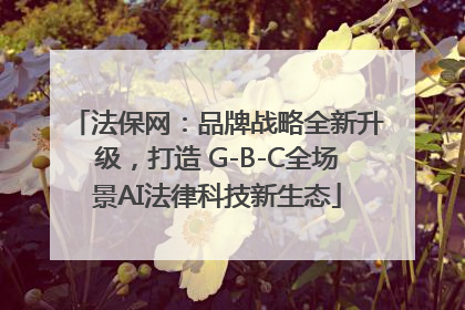 法保网：品牌战略全新升级，打造 G-B-C全场景AI法律科技新生态