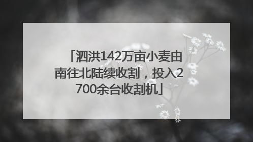 泗洪142万亩小麦由南往北陆续收割，投入2700余台收割机