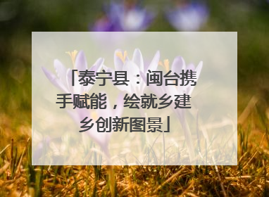 泰宁县：闽台携手赋能，绘就乡建乡创新图景