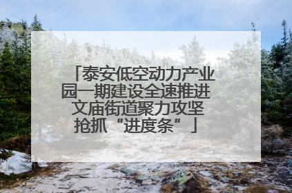 泰安低空动力产业园一期建设全速推进 文庙街道聚力攻坚抢抓“进度条”