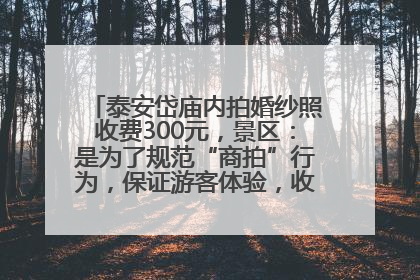 泰安岱庙内拍婚纱照收费300元，景区：是为了规范“商拍”行为，保证游客体验，收取费用全部上交国库