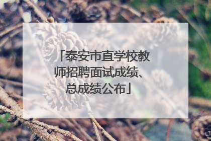 泰安市直学校教师招聘面试成绩、总成绩公布