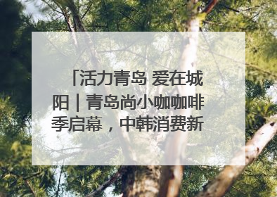 活力青岛 爱在城阳｜青岛尚小咖咖啡季启幕，中韩消费新场景点燃夏日热情