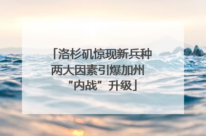 洛杉矶惊现新兵种 两大因素引爆加州“内战”升级