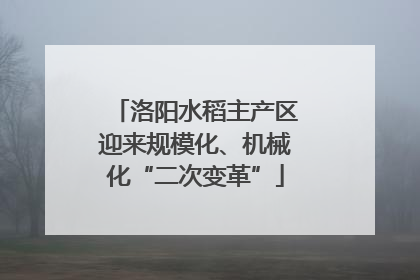 洛阳水稻主产区迎来规模化、机械化“二次变革”