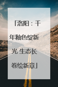 洛阳：千年釉色绽新光 生态长卷绘新章
