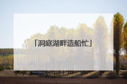 洞庭湖畔造船忙