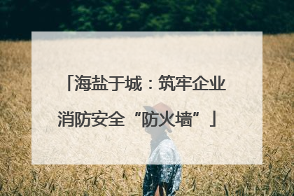 海盐于城：筑牢企业消防安全“防火墙”