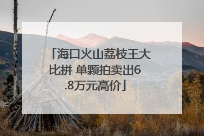 海口火山荔枝王大比拼 单颗拍卖出6.8万元高价