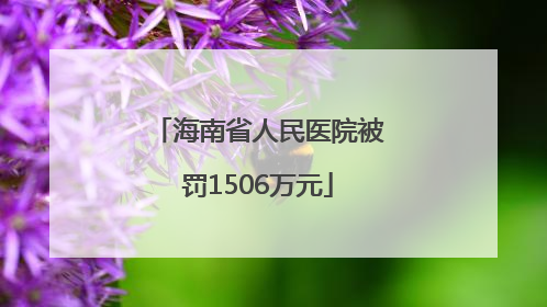 海南省人民医院被罚1506万元
