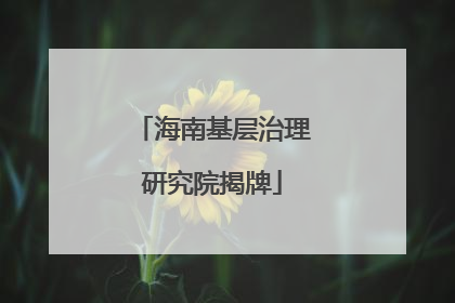 海南基层治理研究院揭牌