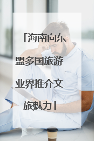 海南向东盟多国旅游业界推介文旅魅力