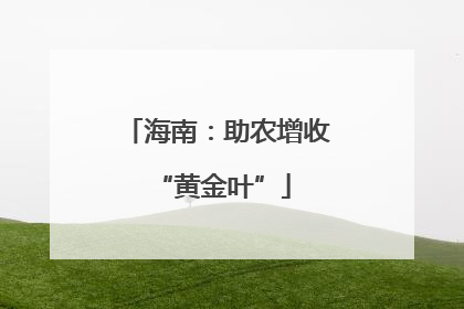 海南：助农增收 “黄金叶”
