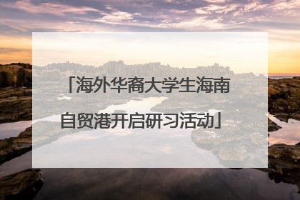 海外华裔大学生海南自贸港开启研习活动