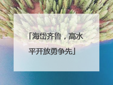 海岱齐鲁，高水平开放勇争先