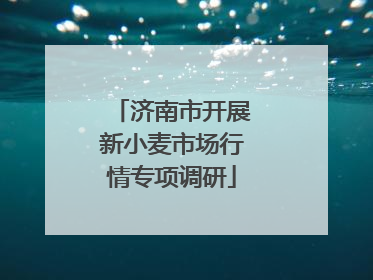 济南市开展新小麦市场行情专项调研