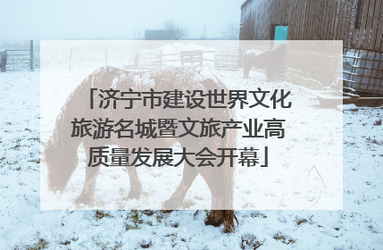 济宁市建设世界文化旅游名城暨文旅产业高质量发展大会开幕