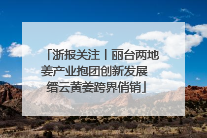 浙报关注丨丽台两地姜产业抱团创新发展 缙云黄姜跨界俏销