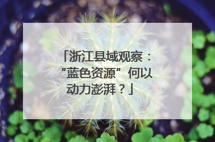 浙江县域观察：“蓝色资源”何以动力澎湃？
