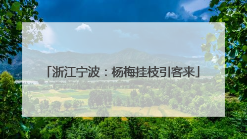 浙江宁波：杨梅挂枝引客来